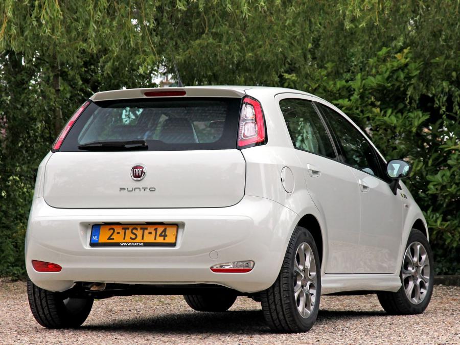  Fiat Punto Young 5-Door 2014 года  (фото 3 из 3)